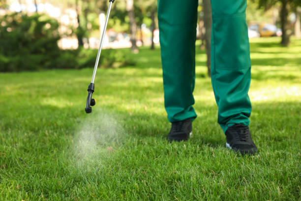 Pest Control for Restaurants in Ruidoso Downs, NM
