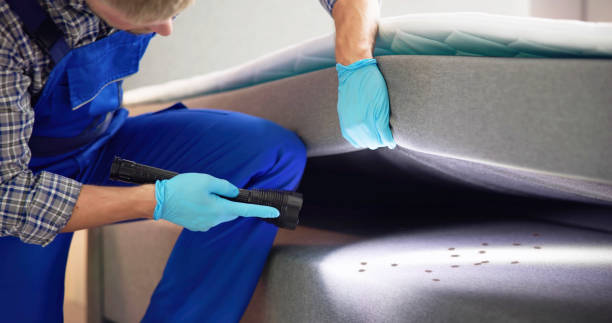 Best Wasp Removal Services  in Ruidoso Downs, NM